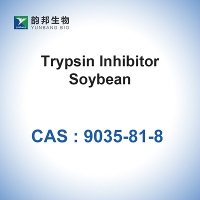 CAS 9035-81-8 enzymes biologiques Lima Bean Trypsin Inhibitor de catalyseurs