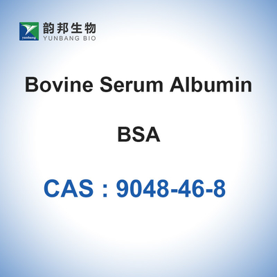 L'albumine de sérum de boeuf saupoudrent CAS 9048-46-8 le réactif que biochimique BSA a lyophilisé la poudre